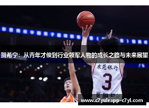 贺希宁：从青年才俊到行业领军人物的成长之路与未来展望